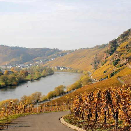 Gerlach