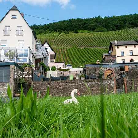 Weingut / Gerlach Ürzig