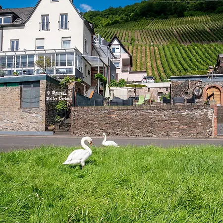 Gasthof Weingut / Gerlach