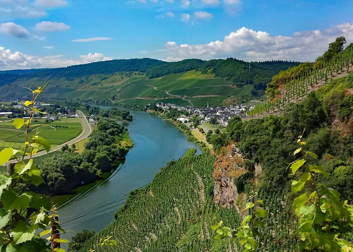 Maison d'hôtes Gerlach Ürzig