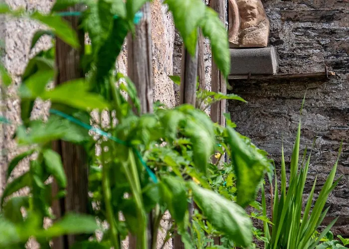 Casa de hóspedes Gerlach 3*