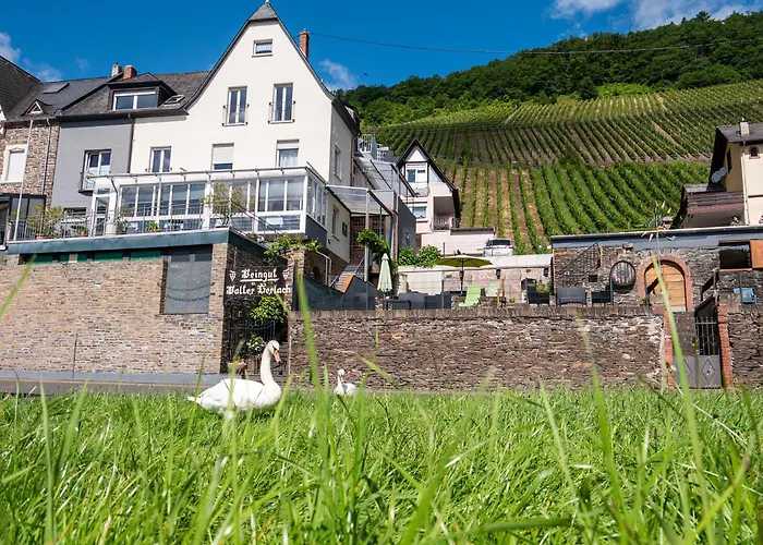 Casa de hóspedes Gerlach Ürzig