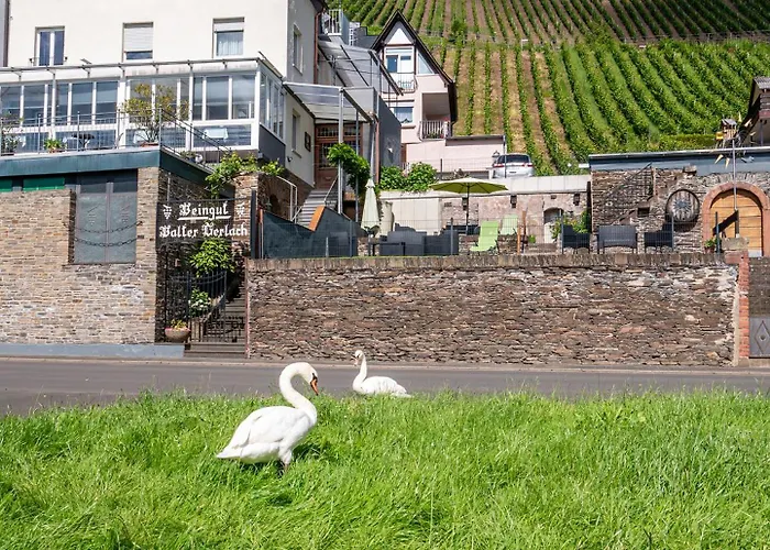 Maison d'hôtes Gerlach